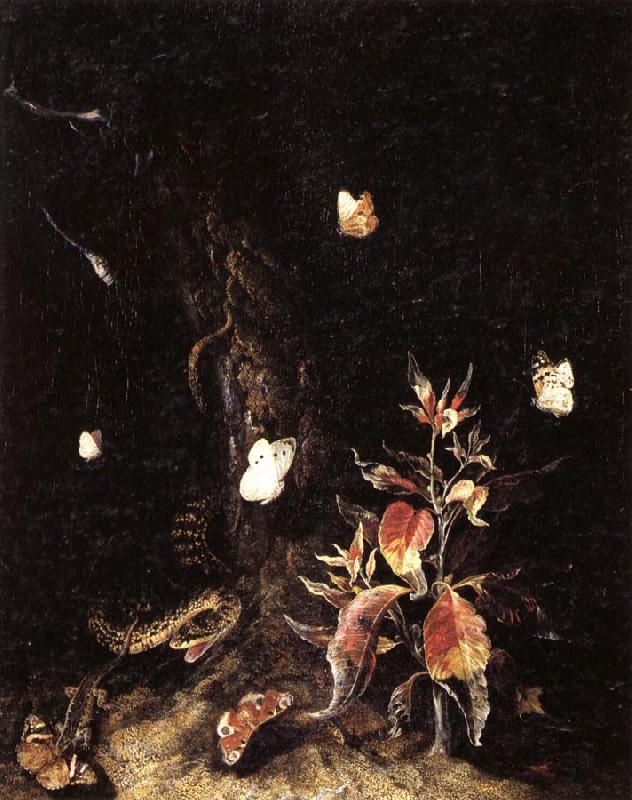 SCHRIECK, Otto Marseus van Reptiles,Butterflies,and Plants at the Base of a Tree Sweden oil painting art
